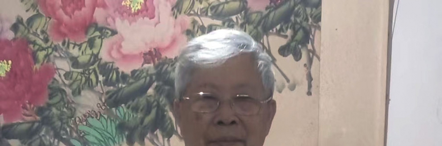 岳家旧事录——岳飞和他儿孙们的故事