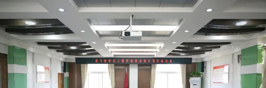 岳飞妻李夫人墓环境整治提升项目座谈会召开——共商文物保护与环境提升新路径