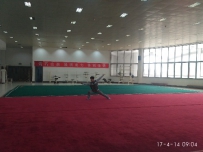 山东岳武曹州武馆