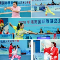 黄梅岳家拳在海南国际亚太武术公开赛中获得“五金四银”