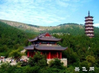 山东枣庄《峄县八景——青檀秋色》